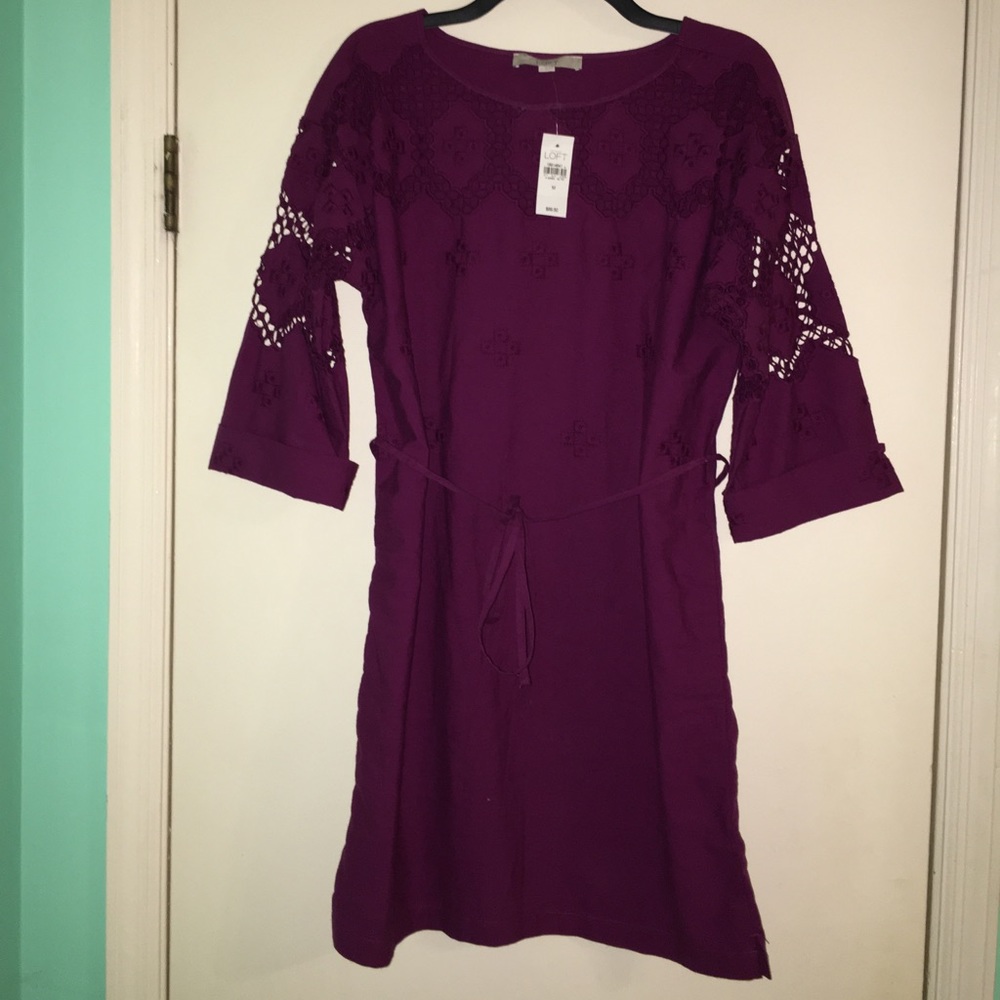 Ann Taylor Loft Dress